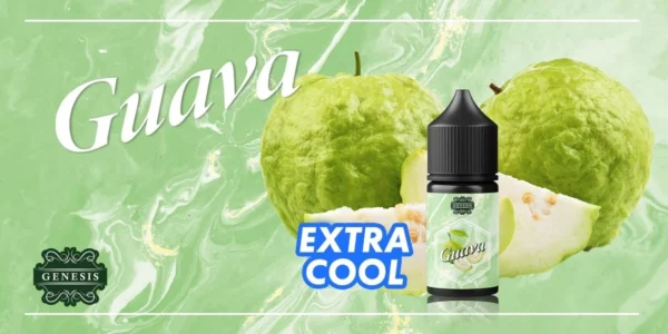 𝗚𝗘𝗡𝗘𝗦𝗜𝗦 創世紀系列小煙油