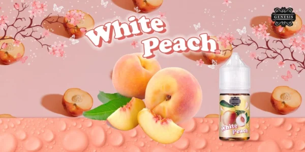 𝗚𝗘𝗡𝗘𝗦𝗜𝗦 創世紀系列小煙油