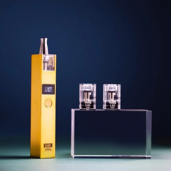 𝗩𝗶𝗻𝘀 小金條小銀磚 小煙主機